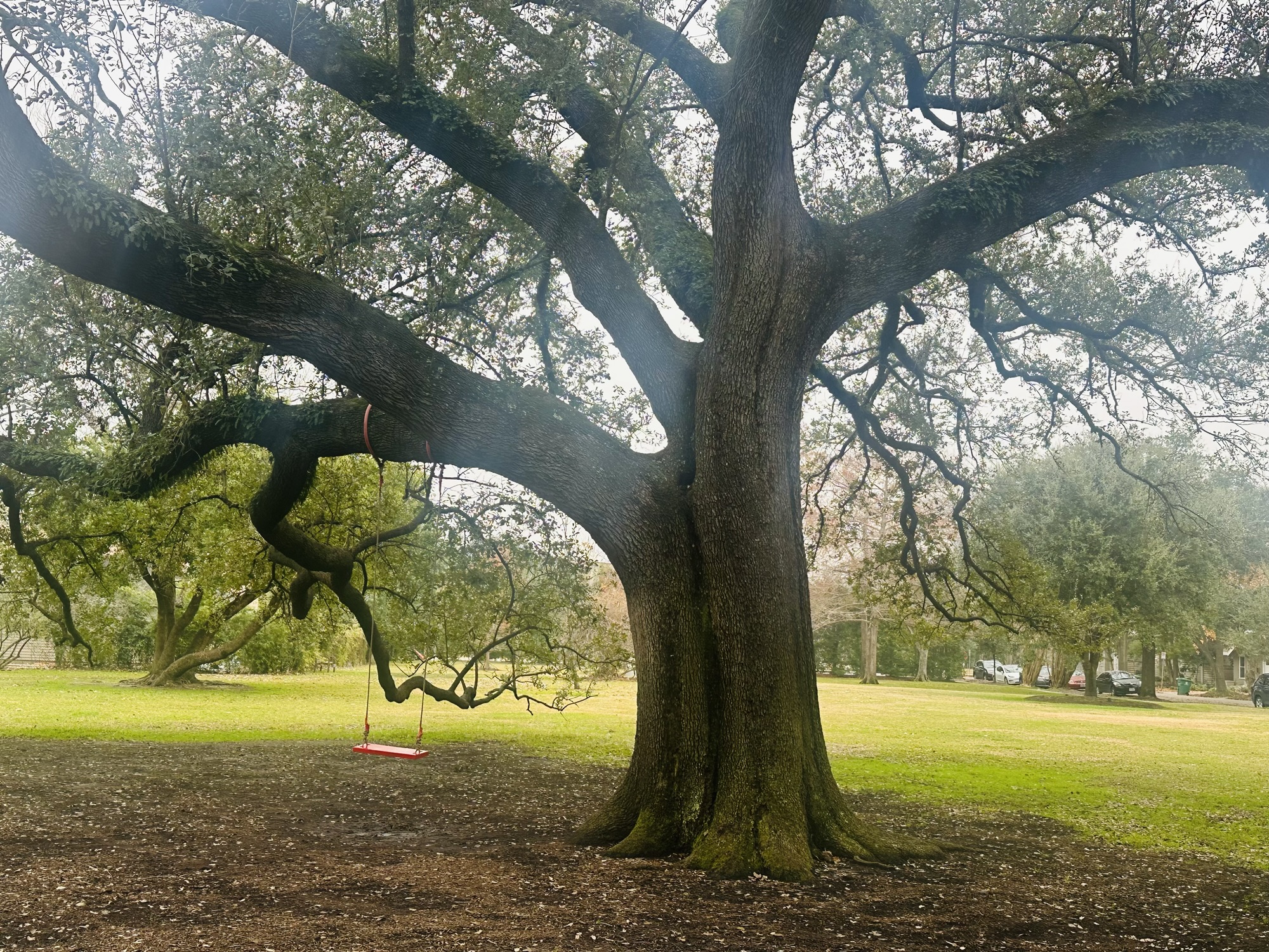 Rothko Chapel and Menil Collection, Houston